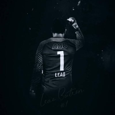 Leao Butrón's profile picture