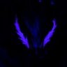 Фото профиля Aidan