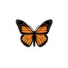 sǝʌǝn profil fotoğrafı