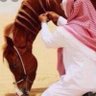 محمد الدوسري 的头像