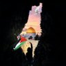 Profilbild von 🇵🇸