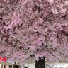 Фото профиля 発達障害の精神病理