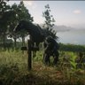 DAVID #SAVEREDDEADONLINE 的头像