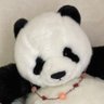 もかりんこ 的头像