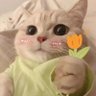 tiancha-7's profile picture