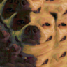 bodswell doddler's profile picture