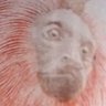 Monkeeuphoria's profile picture