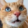 ♡猪狩ジゼル♡(江南) profil fotoğrafı