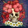 Skeletea 的头像