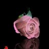 Gujju_GJ32_Boy profil fotoğrafı