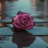 Фото профиля Yousef Al_Yami