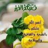 هاله محمود صلاح 的头像