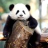 Profilbild von Jrk@007๐๐พ