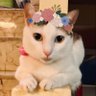 Profilbild von TP