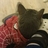 Profilbild von kong