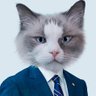 Profilbild von 遊良カフカ@小説・音楽・映画・ドラマアカウント