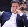 Mamoona Arshad's profile picture