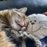 Nur zum gucken da's profile picture