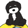 Profilbild von Nam23