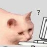 Profilbild von su_