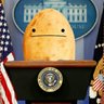Фото профиля PotatoOfTheUnitedStates