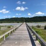 Фото профиля 黒霧島