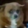 Profilbild von Jose