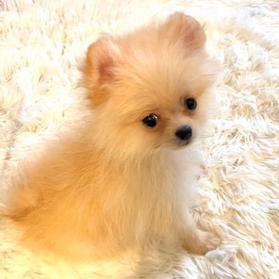 moana_pome's profile picture