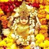 Profilbild von Sandeep Shrivastava
