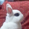 イリ・ク・ラン😫's profile picture