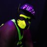 Pup Renegade🐾🐾 FWA,AC,WPAFW,MFF's profile picture