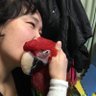 冬乃兎 profil fotoğrafı