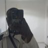 ʍǟ¢ǟ ɖɛʟ ʀɨʊֆ's profile picture
