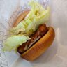 マスカット's profile picture