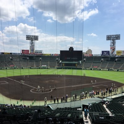 senna0726's profile picture