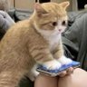 无中生有 profil fotoğrafı