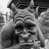 こきく profil fotoğrafı