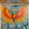 Phoenix Mind's profile picture