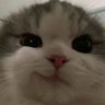 lila 的头像