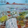 عبد الواسع الزبيدي profil fotoğrafı