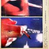i am a self-taught brain surgeon 的头像