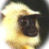 will?'s profile picture