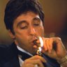 Profilbild von Maestro