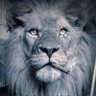 اوراق الخريف's profile picture