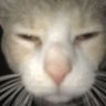 im_not_a_fentanyl_consumer 的头像