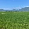 いい湯だんな 的头像