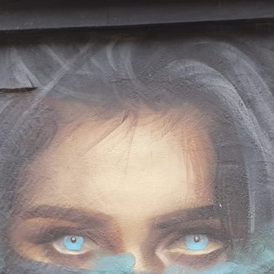 ann56502906's profile picture