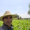 Eugenio. Perez profil fotoğrafı