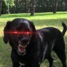 Daniele ₿'s profile picture