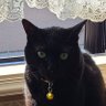 ひお profil fotoğrafı